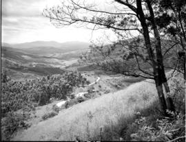 Tzaneen district, 1951. Magoebaskloof, view into valley.
