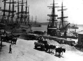 Durban, 17 April 1902. Quayside at Durban Harbour during Anglo-Boer War.