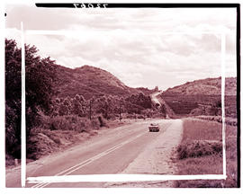 "Nelspruit district, 1962. Road through fruit orchards."