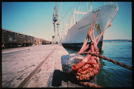 Durban, November 1974. 'SA Constantia' in Durban Harbour. [S Mathyssen]