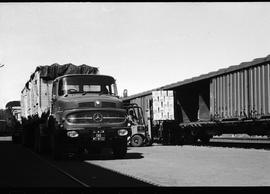 Cape Town, April 1971. Loading apples. SAR Mercedes truck No MT18722.