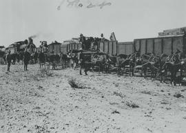 Upington district, 1914/15. Mule carts taking railway sleepers from construction train for the Pr...