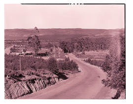 Wellington district, 1949. Road.