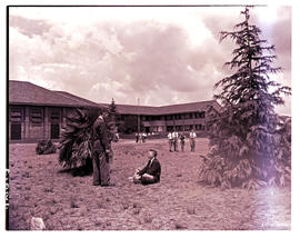 Springs, 1954. English high school.