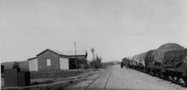 Poupan, 1895. Train in station looking south. (EH Short)