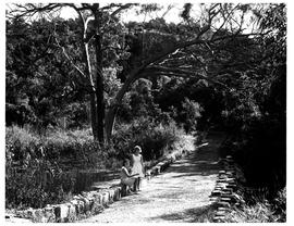Port Elizabeth, 1965. Settler's Park