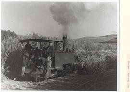 Mount Edgecombe,1945. John Fowler & Co 0-4-2T narrow gauge cane locomotive on the Natal Estat...