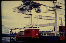 Container handling by gantry crane in harbour.