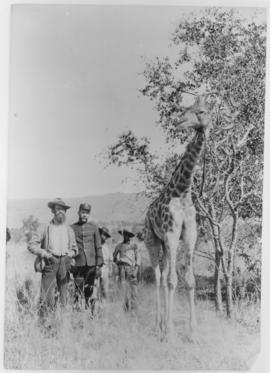 G Boeschoten in uniform with captured giraffe.