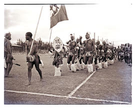 Natal, 1950. Zulu tribal dancers.