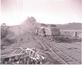 Umhloti district, 1946. SAR Class GEA No 4005 near Verulam.