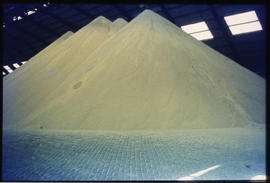 Durban. Sugar stockpile inside sugar terminal in Durban harbour.