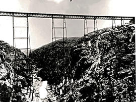 Port Elizabeth district, 1957. Van Stadens river railway bridge.