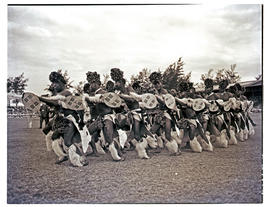 Natal, 1950. Zulu tribal dancers.