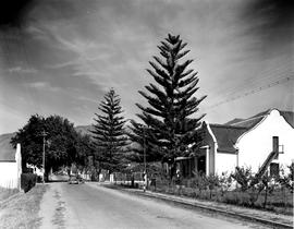 Montagu, 1947. Residential street.