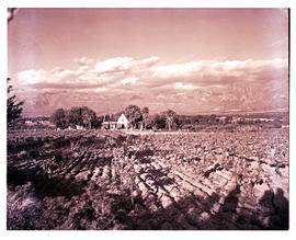 Paarl district, 1952. Farmstead.