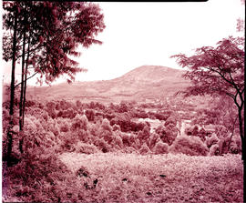 Tzaneen district, 1951. Duiwelskloof, settlement in the distance.