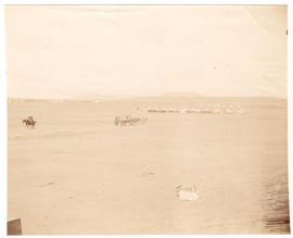 Circa 1900. Anglo-Boer War. Louwspruit.