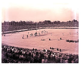 Springs, 1954. Pam Brink stadium.