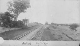 Lonetree Loop, 1895. Train hauled by Cape 7th Class No 351, later SAR Class 7 in the distance on ...