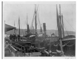 Durban, circa 1901. Ships at quayside in Durban Harbour. (Durban Harbour album of CBP Lewis)
