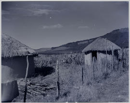 Stutterheim district, 1948. Traditional huts.