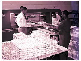"Bethlehem, 1960. Packing eggs in creamery."