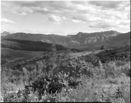 Tzaneen district, 1951. Mountain view.
