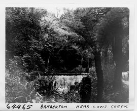 Barberton district, 1956. Waterfall near Low's Creek.