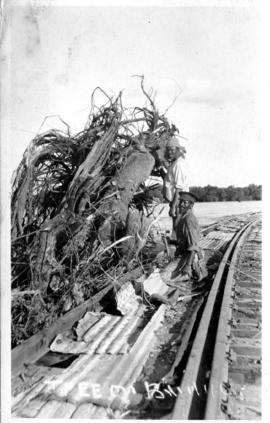 Upington, 1923. Orange River flood at railbridge.