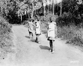 Tzaneen district. Three young girls in Duiwelskloof.