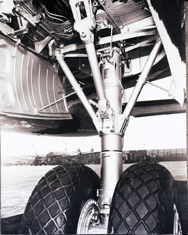 
SAA Lockheed Constellation main landing gear.
