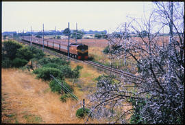 Passenger train on single track in open veld.