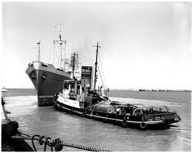 Port Elizabeth, 1961. Tug 'John Dock' in harbour. The ship is MS 'Wonosari'.