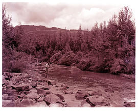 "Graskop district, 1960.  Fishing in the river."