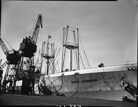 Port Elizabeth, 1948. Loading cranes next to ship 'Robin Sherwood'.