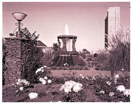 "Kimberley, 1975.   Ernest Oppenheimer memorial gardens."