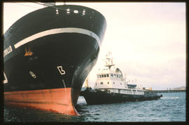 Richards Bay, 1979. SAR tug 'FH Boltman' in Richards Bay Harbour. [Jan Hoek]