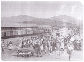 Colenso, circa 1900. Anglo-Boer War. Wounded at Colenso train station.