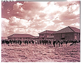 Springs, 1940. English medium high school.