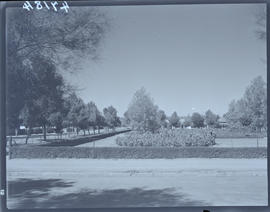 "Kroonstad, 1940. Public gardens."