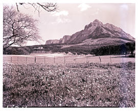 Cape Town, 1953. Rhodes memorial in the distance.