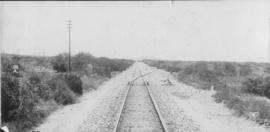 Woodlands, 1895. Railway line. (EH Short)