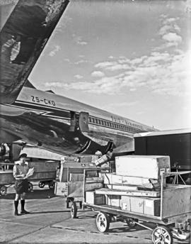 
SAA Boeing 707 ZS-CKD 'Cape Town'. Loading cargo of South African wild flowers.
