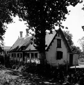 George, 1925. Oldest house.