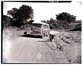 Kruger National Park, 1961. Baboons at SAR Chevrolet motor coach No MT6918.