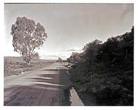 "Aliwal North district, 1963. Country road."
