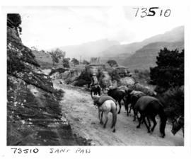 Drakensberg, 1964. Horses on Sani pass.