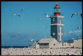 Port Elizabeth, July 1981. Lighthouse on Bird Island. [Jan Hoek]