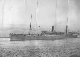 Durban, 4 October 1907. SS 'Goth' with 2695 tonnes of mealies, first ship to leave Natal with ful...
